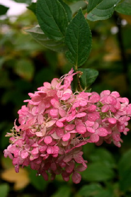 f0041606_16585415.jpg