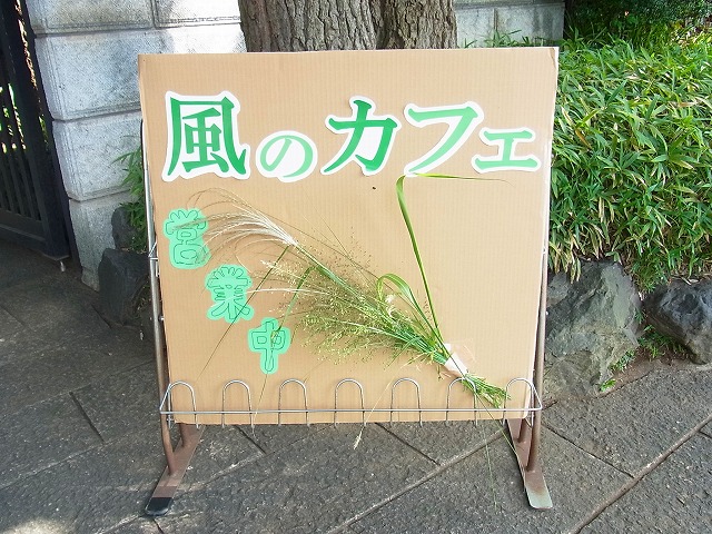 ~風のカフェ~_b0049307_11234890.jpg
