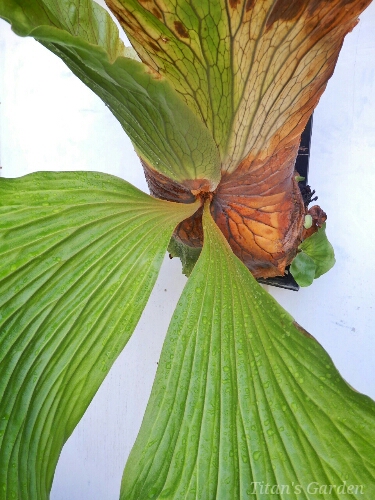 b0099813_045554.jpg