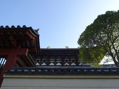 d0129713_2159577.jpg