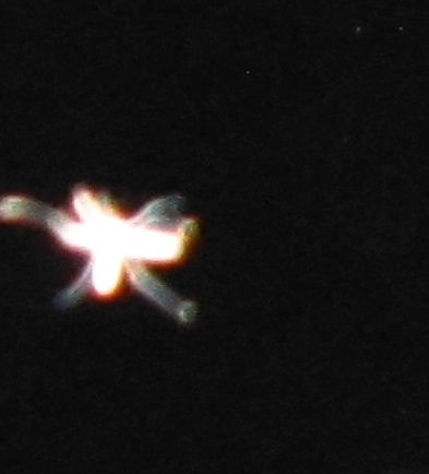 c0331825_12281058.jpg