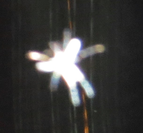 c0331825_12305209.jpg