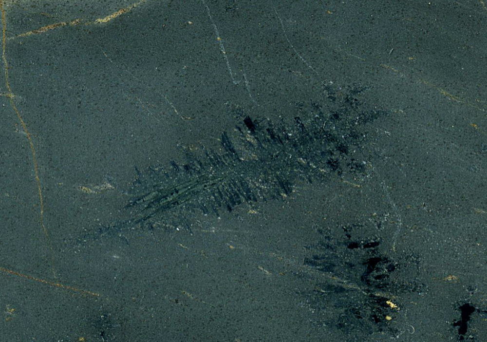d0045626_14505334.jpg