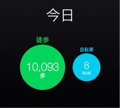 もしかしたら、50万歩に足りてないかもしれない_c0060143_06577.jpg