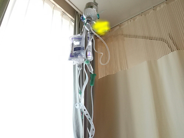 d0078350_11194176.jpeg