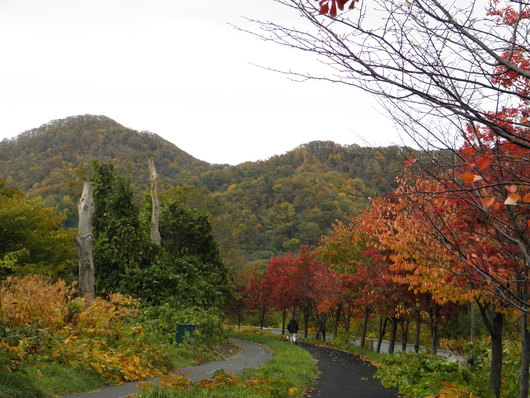 発寒川岸を歩く。_f0074956_828226.jpg