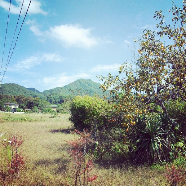 f0339068_8484870.jpg