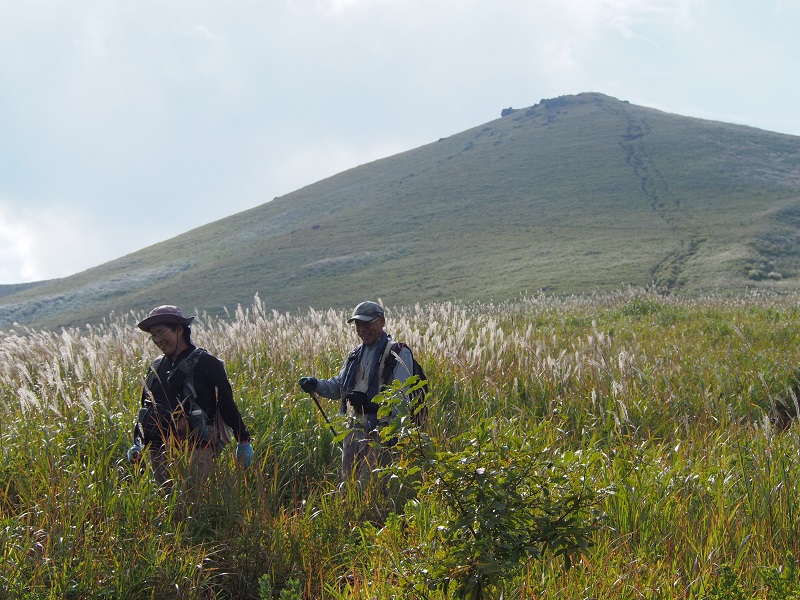 c0042869_65533.jpg