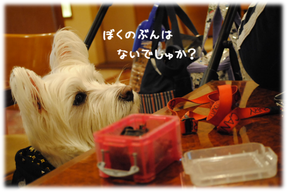b0242873_01460281.png