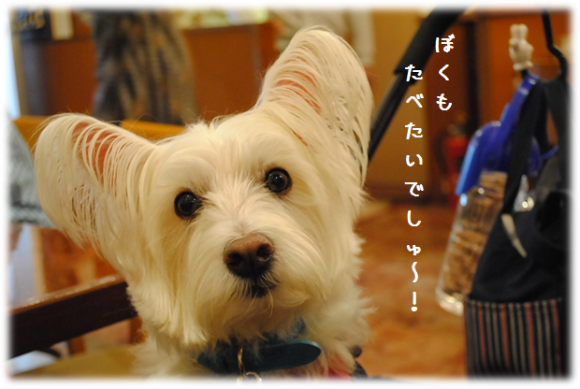 b0242873_01501409.png