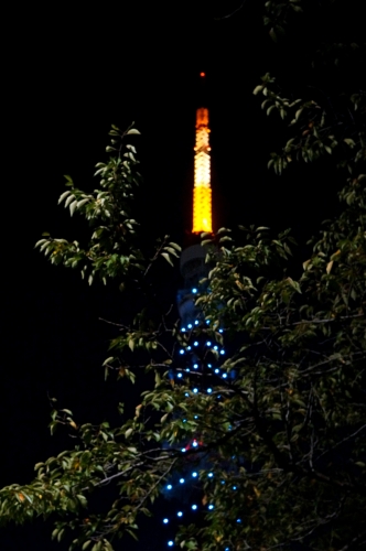 c0331973_13535844.jpg