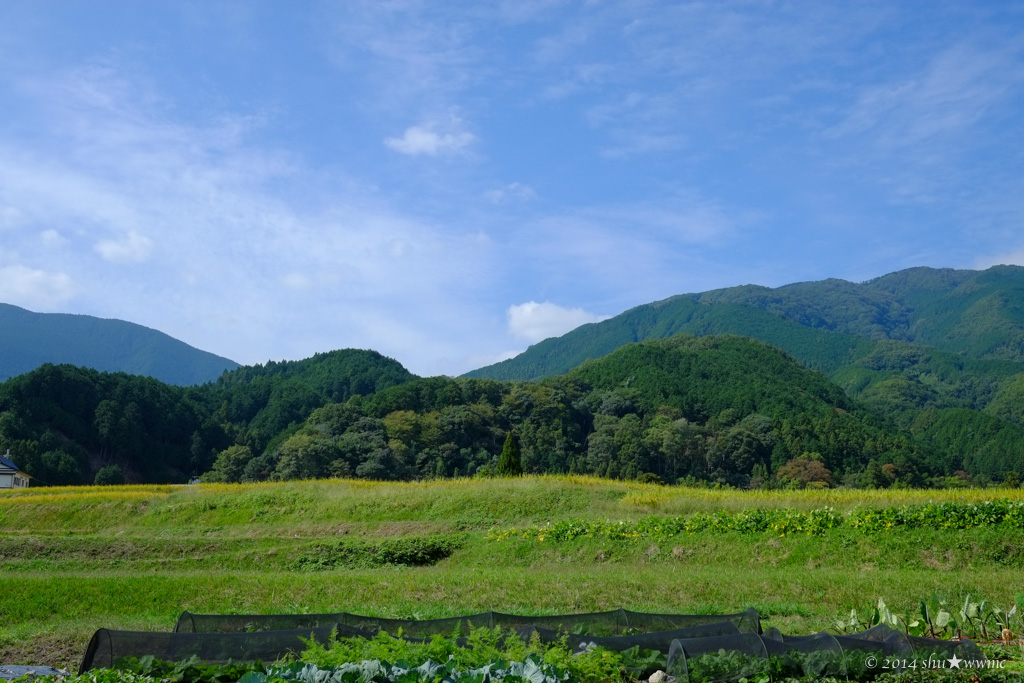 a0142976_16315781.jpg