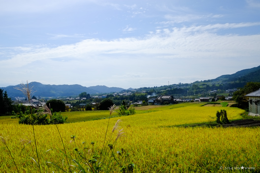 a0142976_1712154.jpg