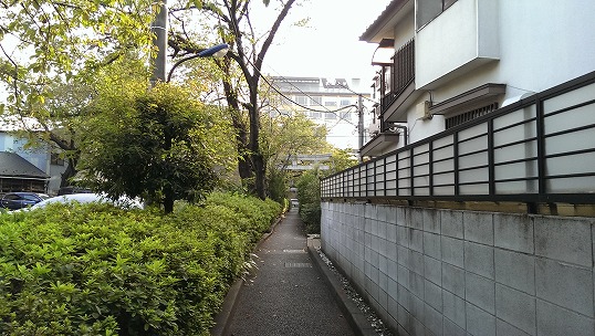 e0020682_0482878.jpg