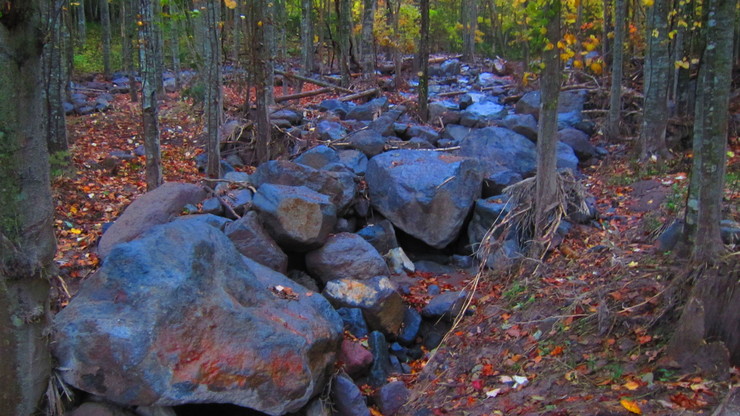 a0242984_85241.jpg
