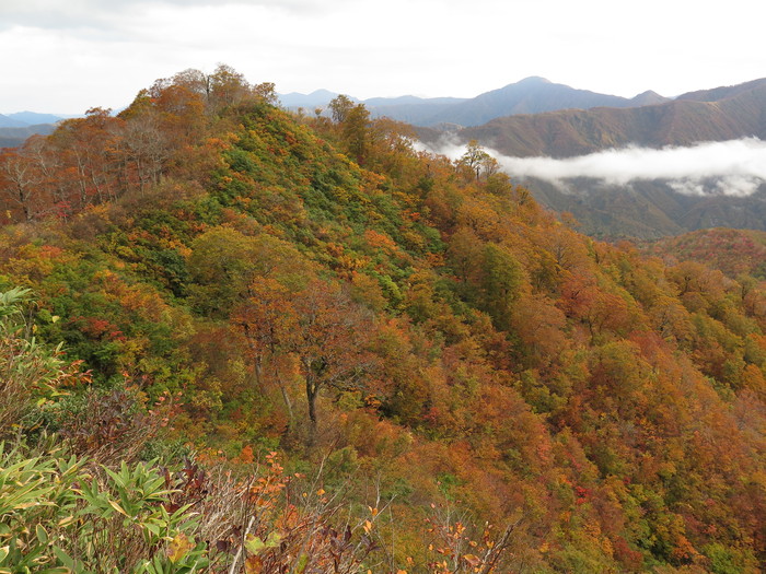 荒沢岳／Mt.Arasawa in Jyoetsu_d0138986_1429995.jpg