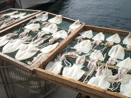 c0013687_18555387.jpg