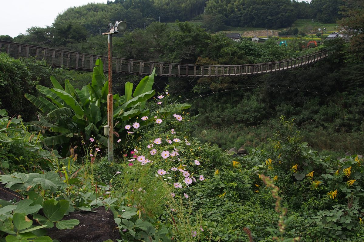 九州の旅②高千穂神社・高千穂峡・原尻の滝_c0252688_15083650.jpg