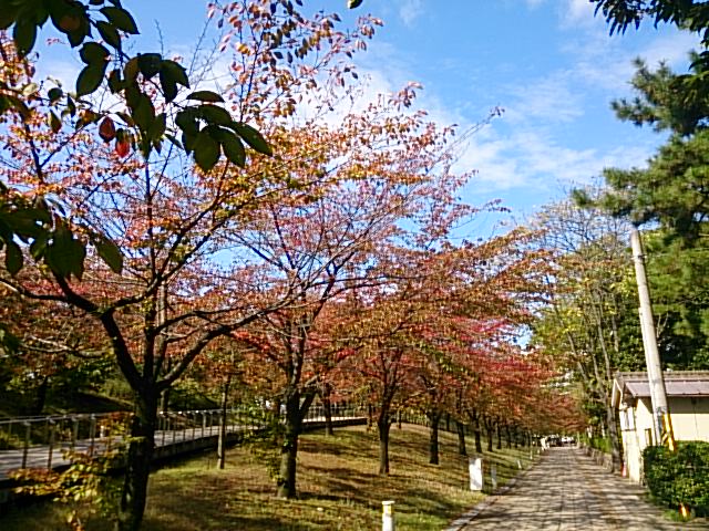 この週末は。10月18日&19日。_e0046190_17523679.jpg
