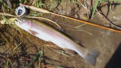 f0166390_23543559.jpg