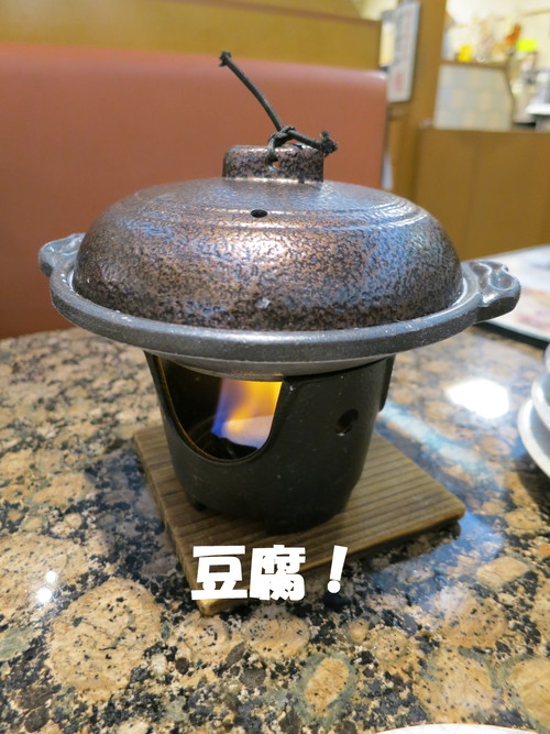 国内初！アメリカハナズオウ 本株立ち シルバークラウド 生育中！_b0200291_20304467.jpg
