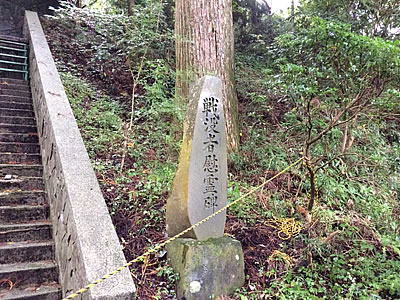 d0207298_8243010.jpg