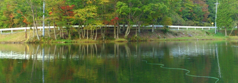 f0266202_1937358.jpg
