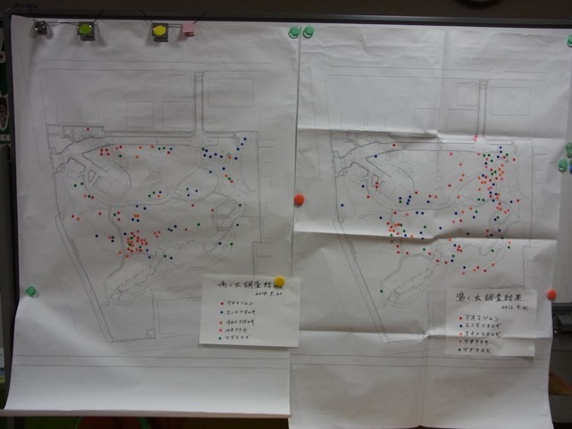 夜の鳴く虫観察会_b0049307_65793.jpg