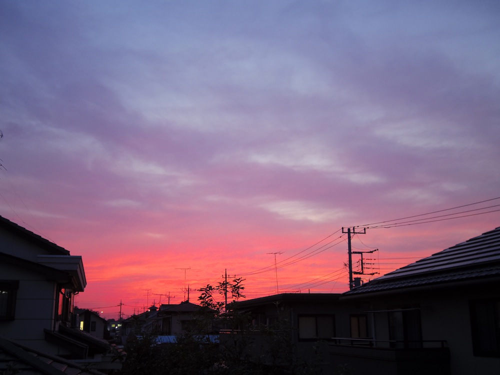 ピンク色の夕焼け_f0138807_20253338.jpg