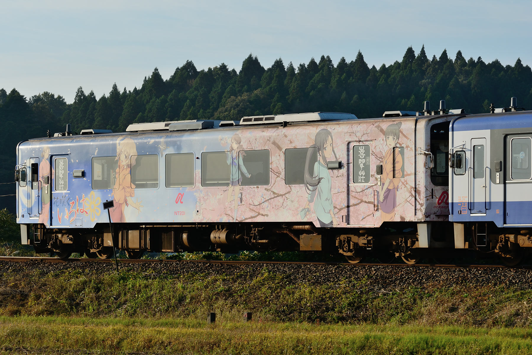 のと鉄道 NT200型 - 「花咲くいろはラッピング 1号車」 - : SKY のと鉄道 NT200型 - 「花咲くいろはラッピング 1号車」 - : SKY
