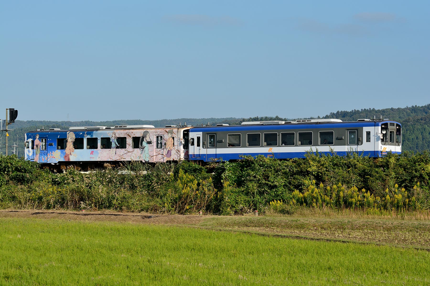 のと鉄道 NT200型 - 「花咲くいろはラッピング 1号車」 - : SKY のと鉄道 NT200型 - 「花咲くいろはラッピング 1号車」 - : SKY