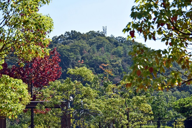 a0151913_2359537.jpg