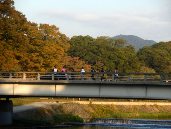 鴨川の朝_e0048413_21491986.jpg