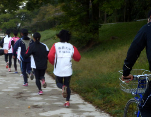 鴨川の朝_e0048413_21501169.jpg