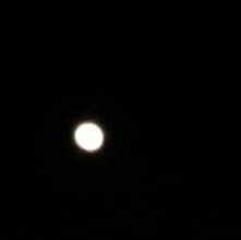 e0047322_2218302.jpg