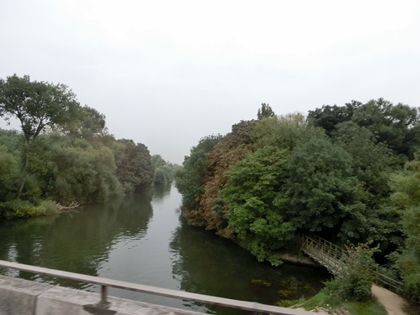 a0105023_2131022.jpg
