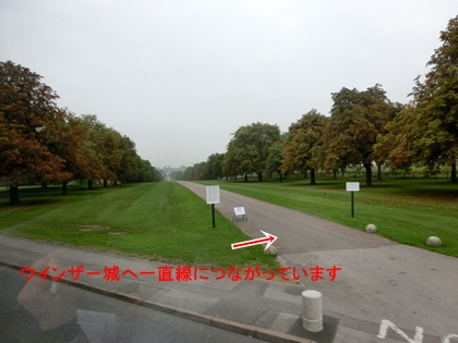 a0105023_2140241.jpg
