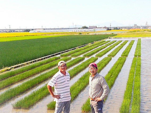 今年も畳作りは熊本からスタートします-5_b0091423_09123735.jpg