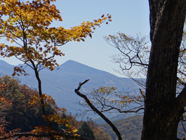 941   紅葉の山_e0266825_16211482.jpg