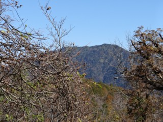 941   紅葉の山_e0266825_16252494.jpg