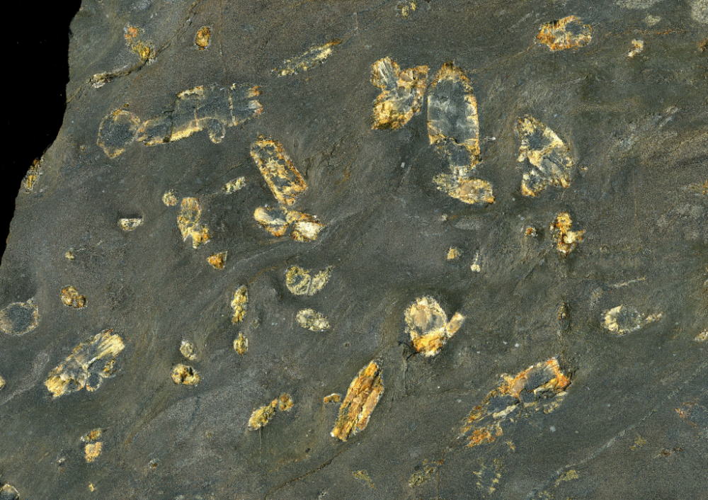 d0045626_13495228.jpg