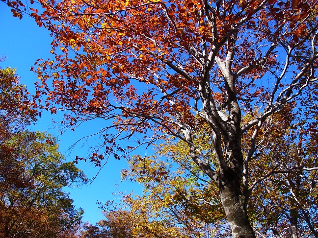 c0225927_1533498.jpg