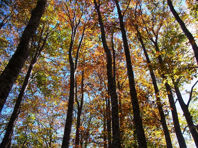 c0225927_15555281.jpg