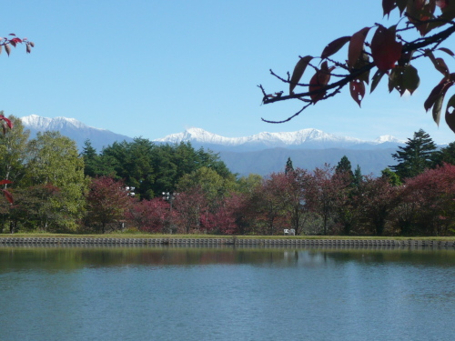 c0009528_22324493.jpg