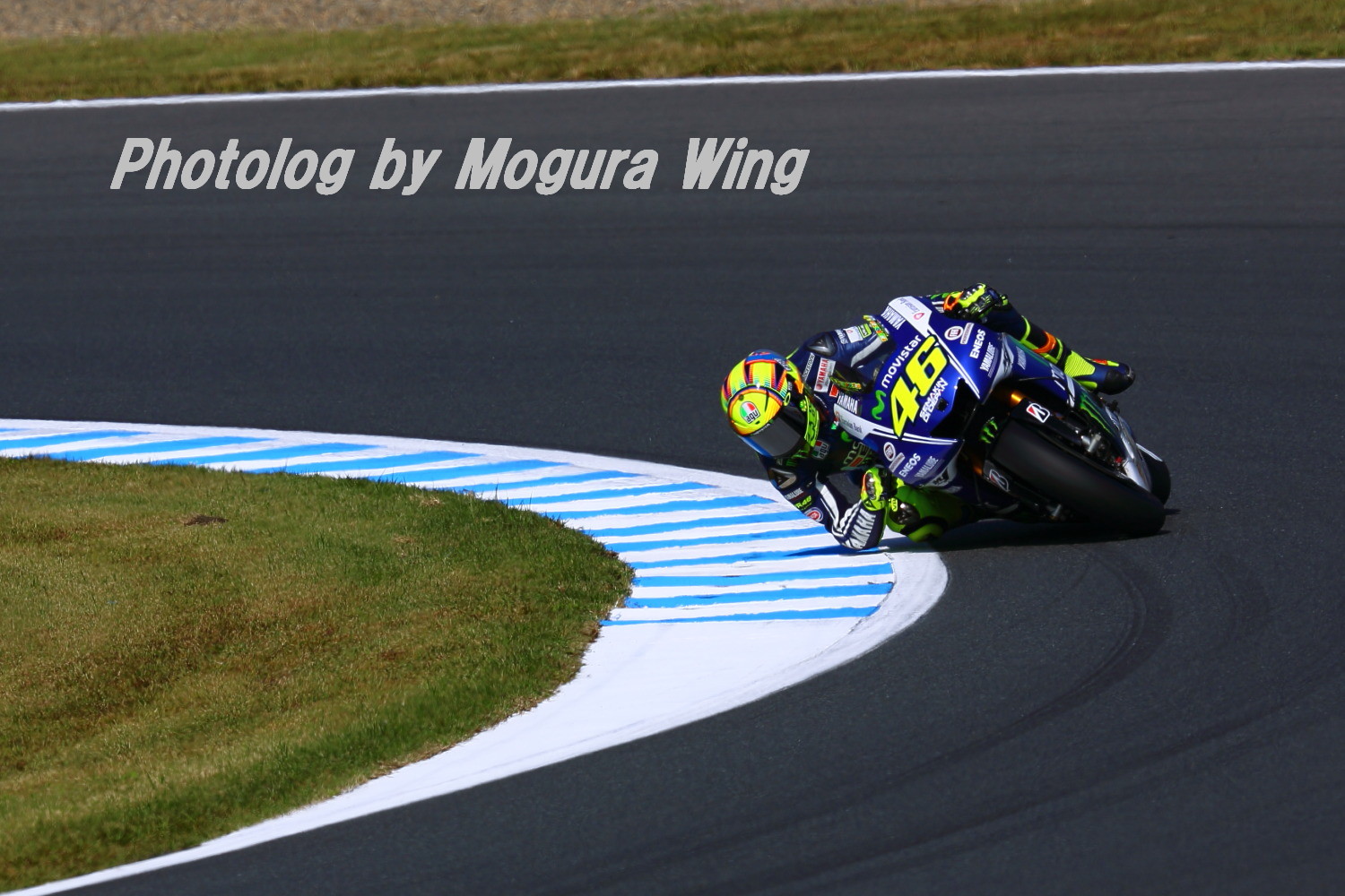 46 V ロッシ Motogp 14 In ツインリンクもてぎ もぐらウイングのフォトぶろぐ 46 V ロッシ Motogp 14 In ツインリンクもてぎ もぐらウイングのフォトぶろぐ
