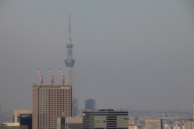 f0348831_22280969.jpg