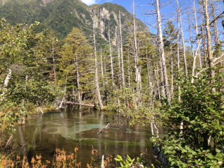 上高地の想い出 _c0204333_23172259.jpg