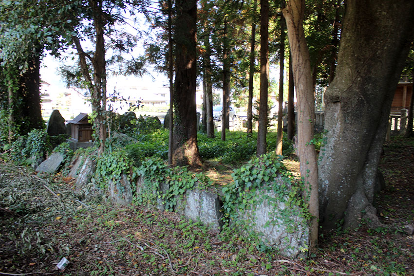 金丸八幡神社♪_d0058941_1240324.jpg