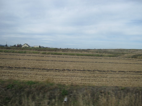 旅行中初めてのブログ_a0279743_5123012.jpg