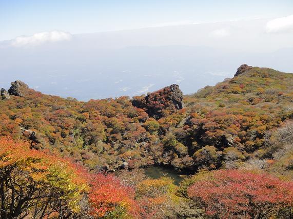 e0164643_1714163.jpg